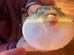 -永安鱼庄·镇江菜(丁卯店)