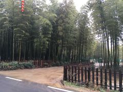 -天目湖御水温泉·度假酒店