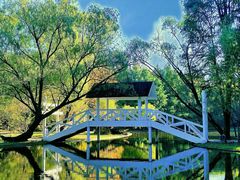 -上海共青森林公园