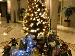 -苏州观园琉苏酒店-168西餐厅