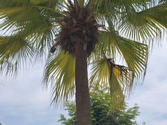 -重庆海昌加勒比海水世界