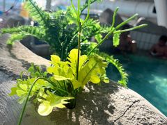 -天山海世界·米立方