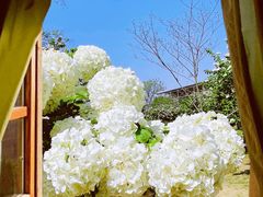 -合肥三国新城遗址公园