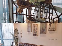 大堂-共舞时光猫咖·狗咖(新街口店)
