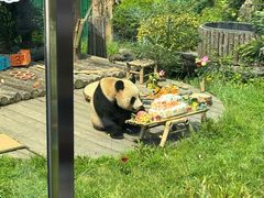 -大连森林动物园