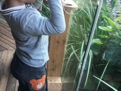 -威勒比开放式动物园