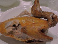 红烧乳鸽-光明招待所(邦凯科技园店)