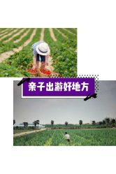-麦粒鸟亲子游