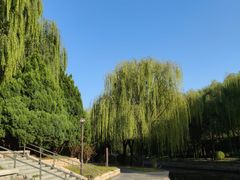 -元大都城垣遗址公园