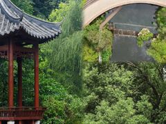 -云溪植物园