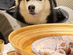 -瑞虹新天地月亮湾