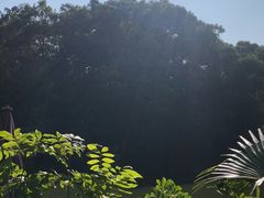 -人民公园(罗湖区)