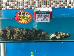 水产区-港畔赶海蒸汽海鲜烧烤自助(仙螺岛店)