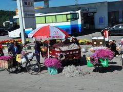 -塞罕坝国家级自然保护区