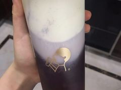 多肉葡萄-喜茶(杭州滨江宝龙店)