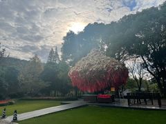 -狼山风景名胜区