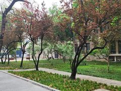-山东大学(趵突泉校区)