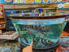 -德胜轩正宗顺德菜(宝安沙井会展中心店)