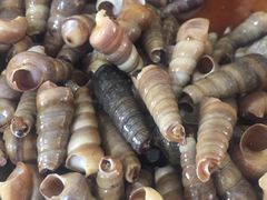 -宾朋海鲜特色美食餐厅·纯手工鲅鱼水饺(兴海路店)