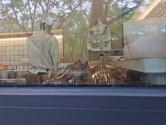 -站前猪蹄&家常炒菜(长乐公园店)