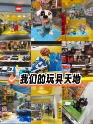 -乐高授权专卖店(岭南站NOVA店)