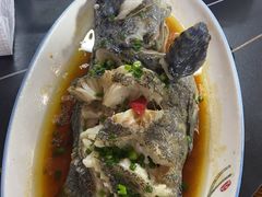 -坛南湾阿强农家乐.海鲜大排档老字号(福州地标美食店)