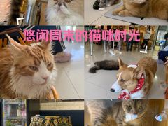 -平行世界·猫咖(首经贸店)