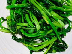 清炒芥兰苗-佳兰雅序融合菜(高新店)