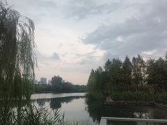 -洋湖国家湿地公园