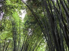 -成都杜甫草堂博物馆