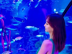 -沈阳海洋探索中心