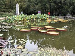 -国家植物园南园