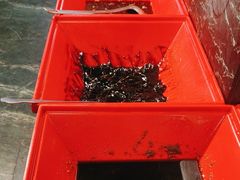 -额尔敦草原涮羊肉·烧烤(冻青树总店)