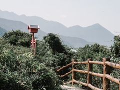 -杨梅坑