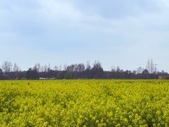 -中国天府农业博览园