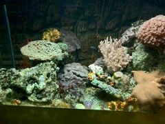 -北戴河圣蓝海洋公园