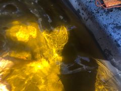 -杭州第一世界大酒店·云曼温泉