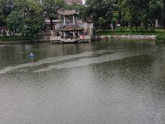 -荔湾湖公园
