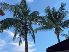 -桂山港式云吞面餐厅