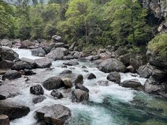 -石台牯牛降景区