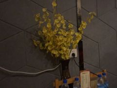 -养心阁足道馆(火宫殿一店)