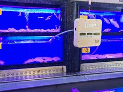 -万宝海鲜舫(劳动公园店)