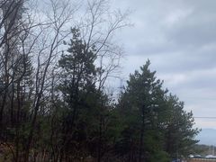 -帽儿山国家森林公园