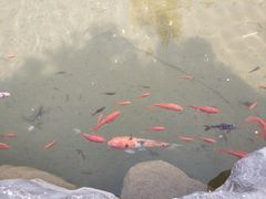 -杨家埠民间艺术大观园