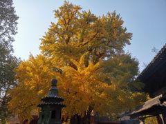 -红螺寺