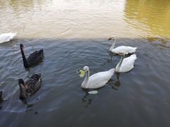 -宁波杭州湾国家湿地公园