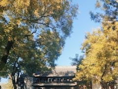 -白云观