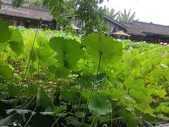 -莫催咖啡
