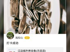 -江边城外烤全鱼(方庄时代购物中心店)