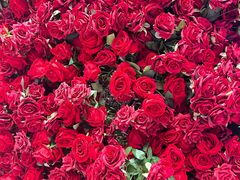 -交通银行前滩31演艺中心